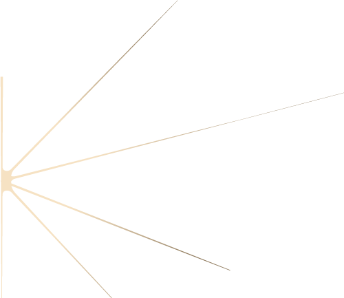 Découvrez les services d'Entrepreneurs Immersive Academy, dédiés à transformer vos compétences grâce à des expériences immersives.